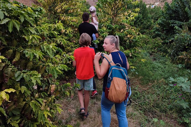 Guided Tour to the only coffee farm in Europe - Keep an eye out for wild animals