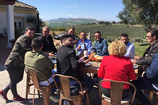 Guided tour with tasting - Walking the vineyard before the wine