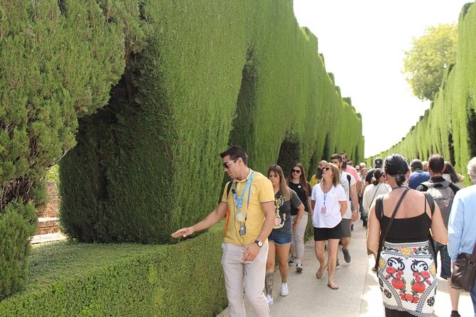 Guided visit to the Alhambra, Nasrid Palaces and Generalife - A three-hour introduction to Granada’s Alhambra