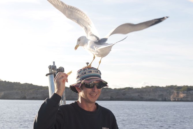 Half-Day Boat Tour along The South Coast of Menorca - The opening cruise along the coves