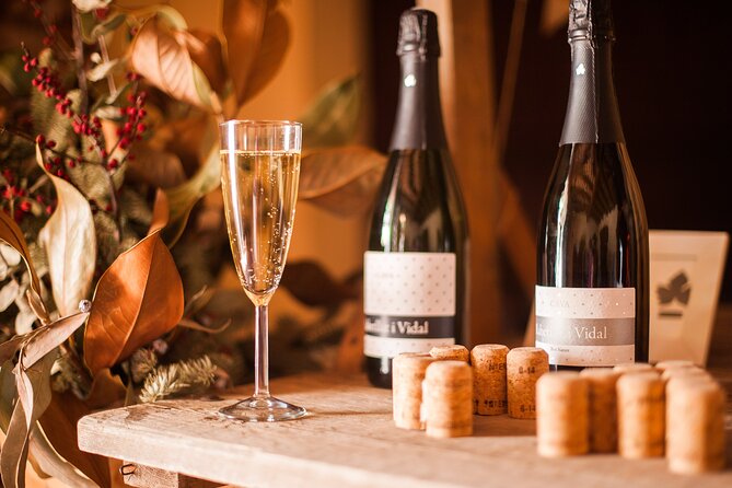 High-End Vineyard Escape: Cava, Tapas & Wine | Private Tour - What your guide adds to the day