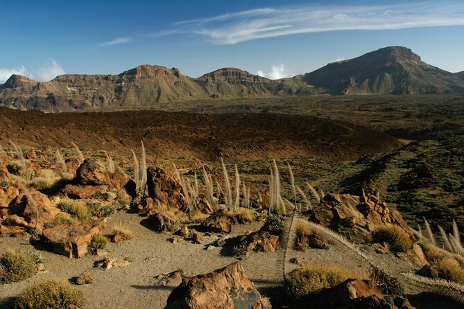 Hiking in Tenerife's Great Outdoors - Key points to know before booking