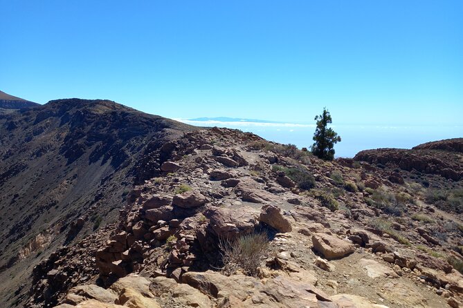 Hiking in Tenerife's Great Outdoors - How much value do you get for $72.59?