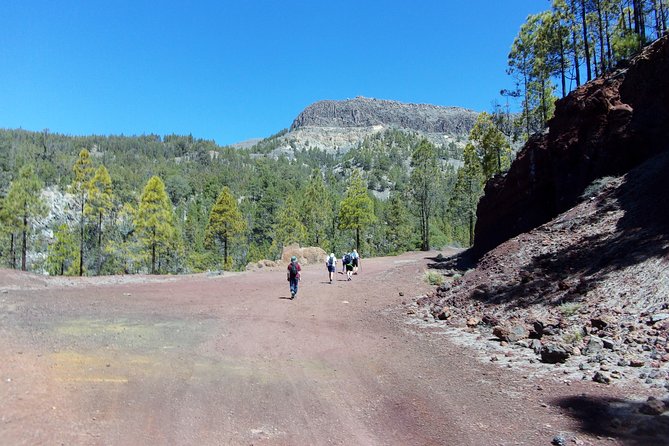 Hiking in Tenerife's Great Outdoors - The best reasons to choose a guided walk