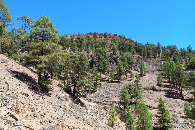 Hiking in Tenerife's Great Outdoors - Who should think twice before booking