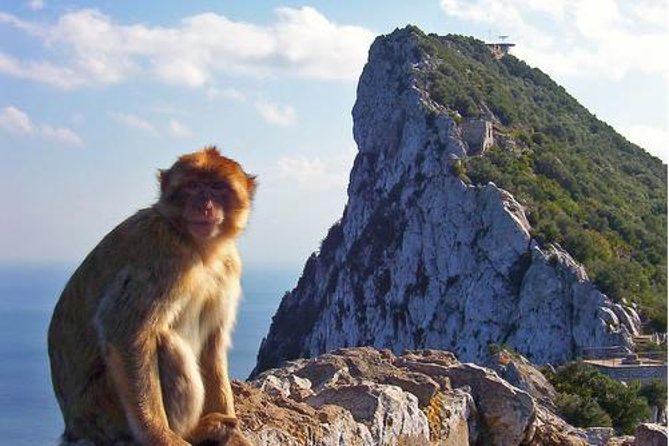 Historic Gibraltar Rock and St Michael's Cave Tour from Seville - How the handoff affects the day