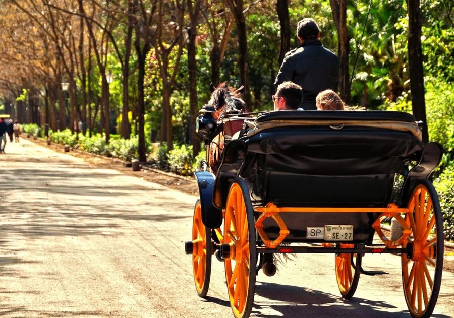 Horse-Drawn Carriage Ride Through Seville - Why a carriage is a smart first look at Seville