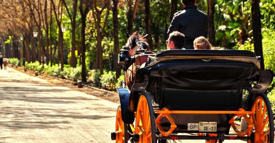 Horse-Drawn Carriage Ride Through Seville - Plaza de España is the visual centerpiece