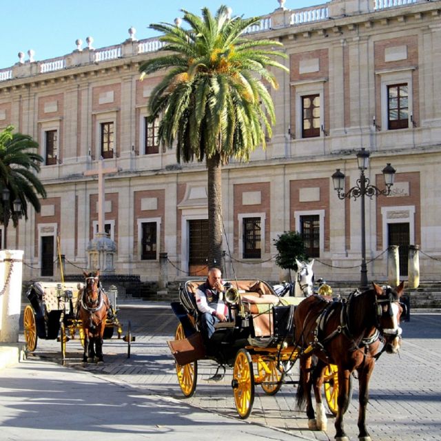 Horse-Drawn Carriage Ride Through Seville - How good is the Spanish guiding?
