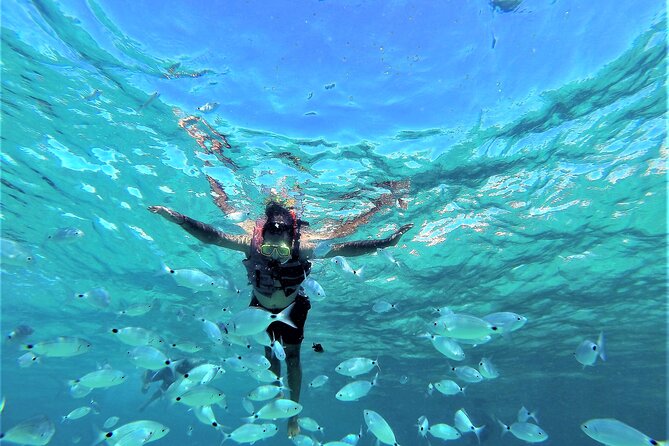 Ibiza Snorkeling Beach and Cave Tour - Key things to know before you go