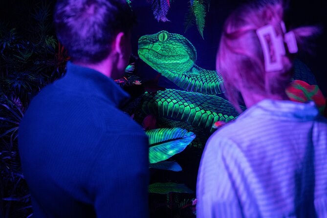 IKONO: a Unique Sensory and Photographic Experience - Is $14.41 a fair price?
