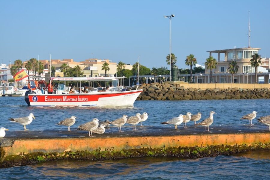 Isla Cristina/Isla Canela: Boat Trip Through the Marshes - Is $16 good value for one hour?