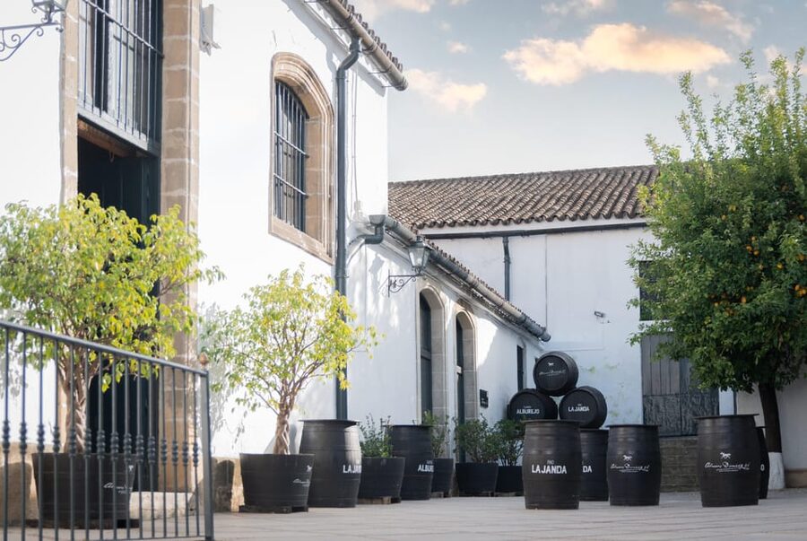 Jerez: Bodegas Álvaro Domecq Guided Tour with Wine Tasting - The Oloroso cellar and audiovisual presentation