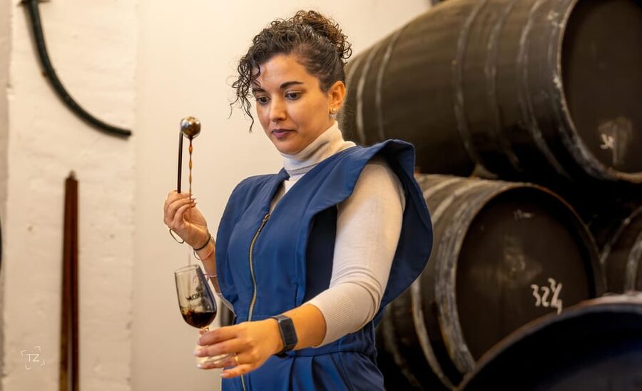 Jerez: Bodegas Álvaro Domecq Guided Tour with Wine Tasting - The Duque de Veragua cellar and older wines