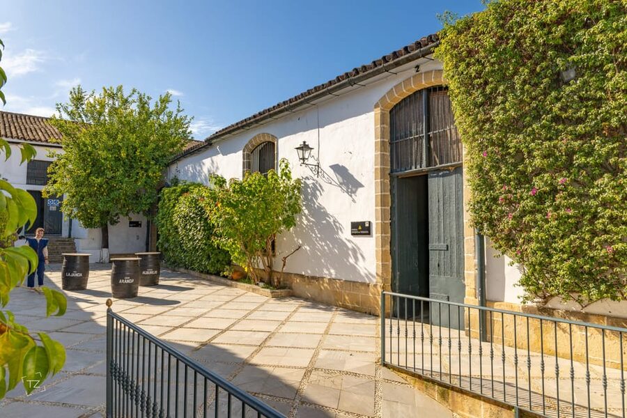 Jerez: Bodegas Álvaro Domecq Guided Tour with Wine Tasting - The tasting: what you may sample