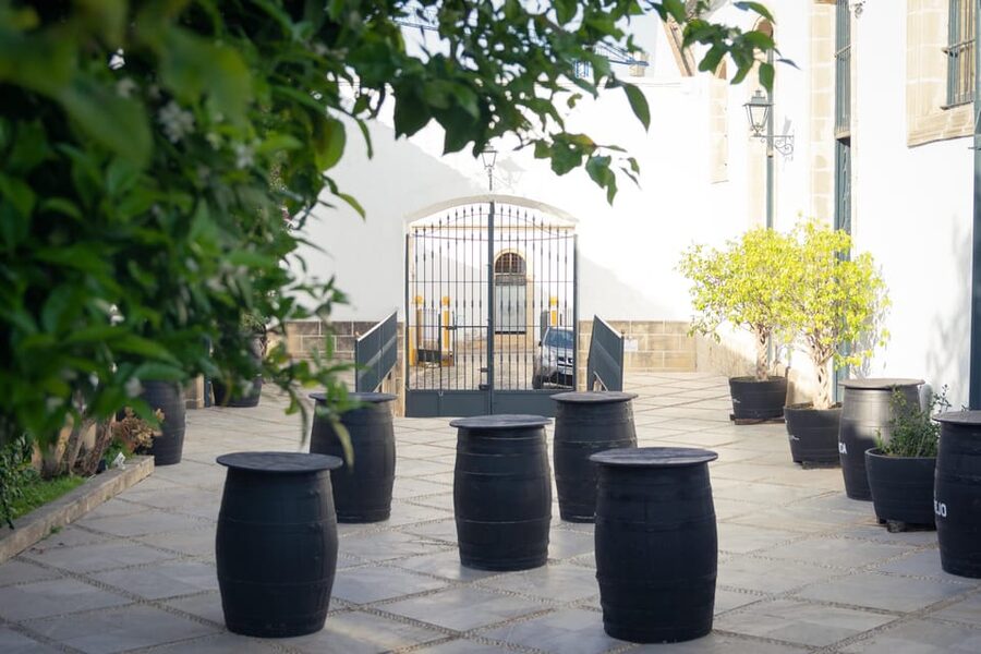 Jerez: Bodegas Álvaro Domecq Guided Tour with Wine Tasting - What the first cellar rooms reveal