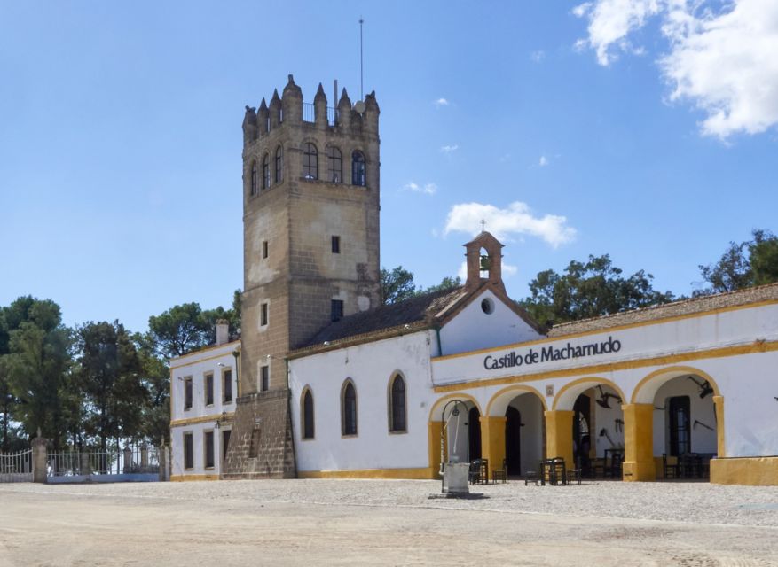 Jerez: Bodegas Fundador Guided Tour with Tasting Session - Why the Bodegas Fundador tour is worth your time
