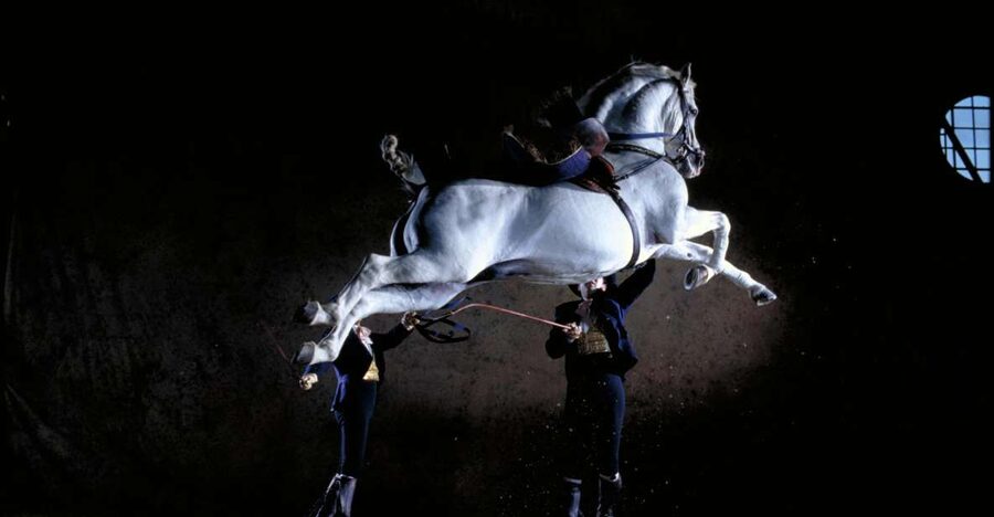 Jerez de la Frontera: Andalusian Horse Dance and Museums - What makes this Jerez experience special