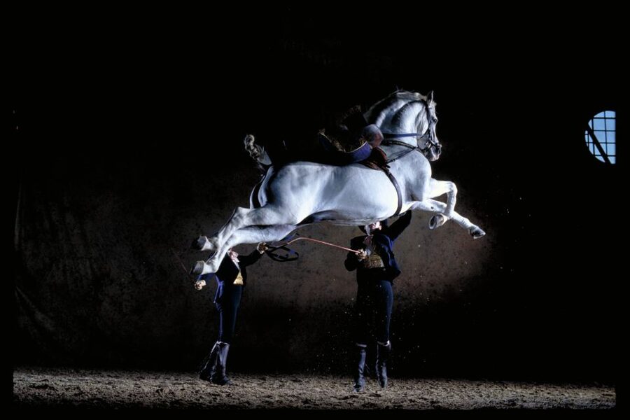 Jerez de la Frontera: Andalusian Horse Dance and Museums - Watching the horses train before the show