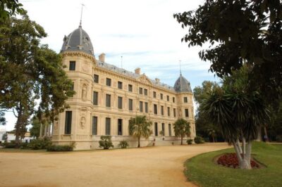 Jerez de la Frontera: Andalusian Horse Dance and Museums