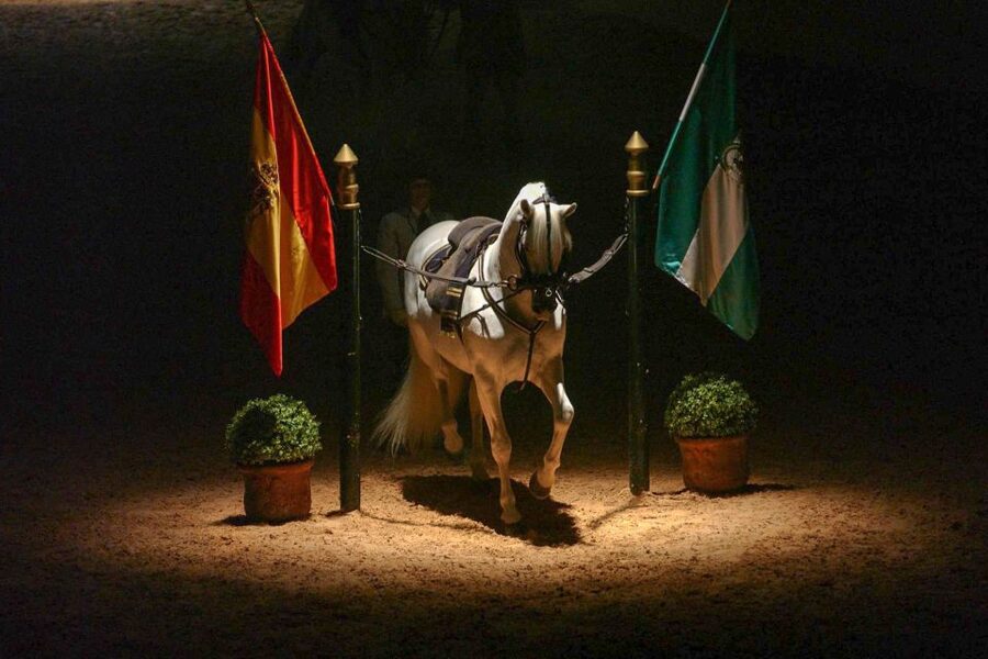 Jerez de la Frontera: How the Andalusian Horses Dance - How much time and money should you allow?
