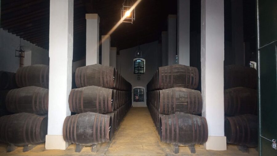Jerez de la Frontera: Sherry Winery Tour with Tasting - Key points at a glance