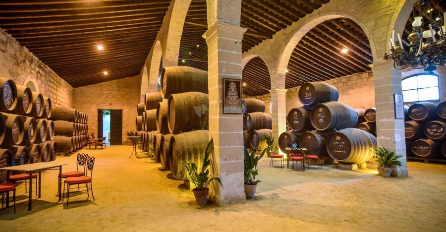 Jerez: Guided Winery Tour with Wine Tasting - Why Jerez sherry deserves your attention