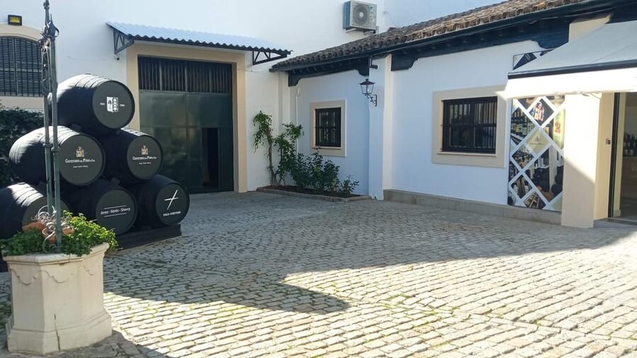 Jerez: Guided Winery Tour with Wine Tasting - The two-wine tasting with appetizers