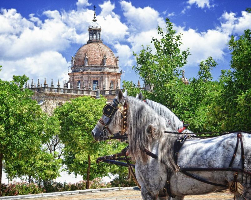 Jerez: Historic Center Guided Tour - The Alcázar walls and the meeting of two Jerez