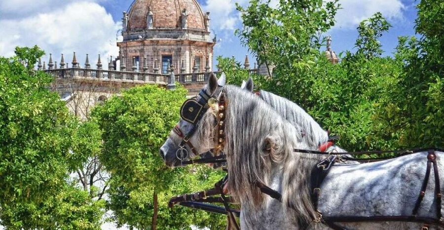 Jerez: Historic Center Guided Tour - Starting in Plaza del Arenal and entering San Miguel