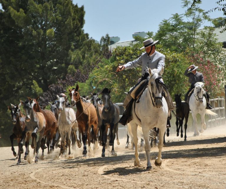 Jerez: Yeguada de la Cartuja Carthusian Horses Tour - The main arena and the dressage display
