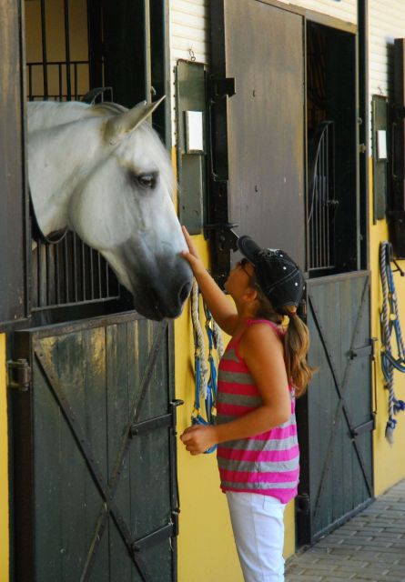 Jerez: Yeguada de la Cartuja Carthusian Horses Tour - How the $22 price measures up
