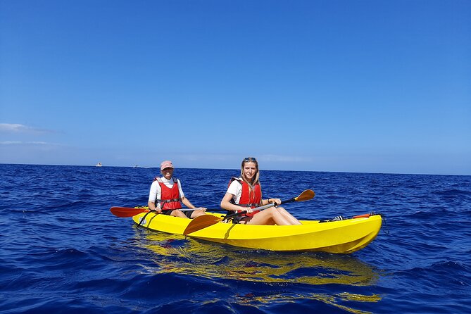 Kayak Safari with Dolphin and Turtle Watching in Guaza - Setting out from Los Cristianos toward Guaza