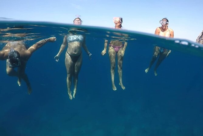 Kayak Safari with Dolphin and Turtle Watching in Guaza - Snorkeling near the rocks
