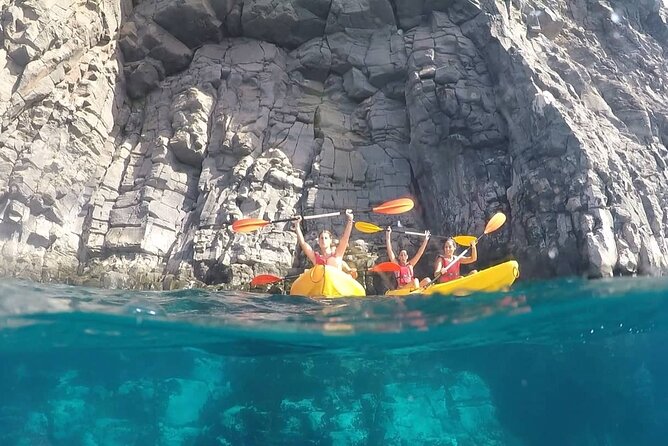 Kayak Safari with Dolphin and Turtle Watching in Guaza - Is $45.97 a fair price?