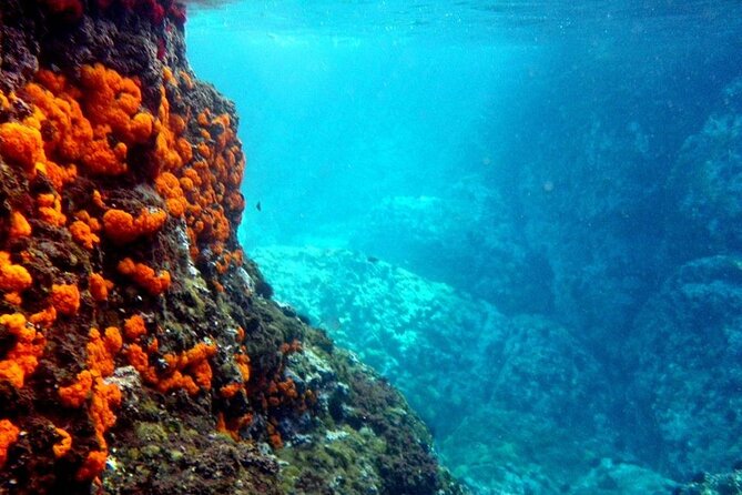 Kayak & Snorkel Tour in Cerro Gordo Natural Park, La Herradura - Key Points to Know Before You Go