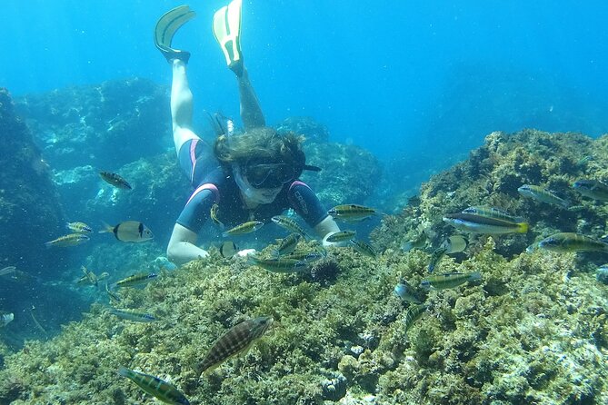 Kayak & Snorkel Tour in Cerro Gordo Natural Park, La Herradura - Snorkeling Depends on the Day