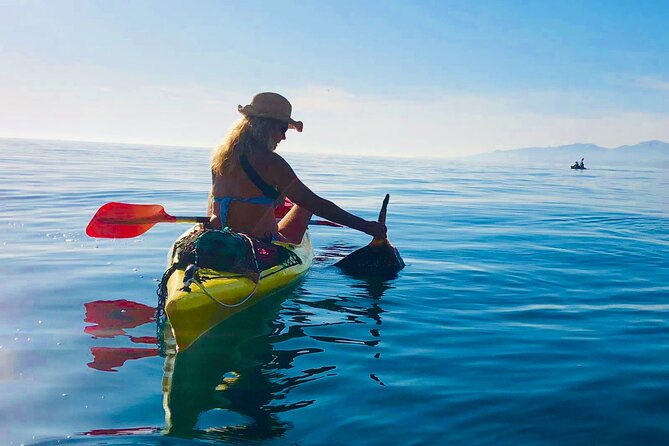 Kayak & Snorkel Tour in Cerro Gordo Natural Park, La Herradura - Who Will Enjoy This La Herradura Tour?