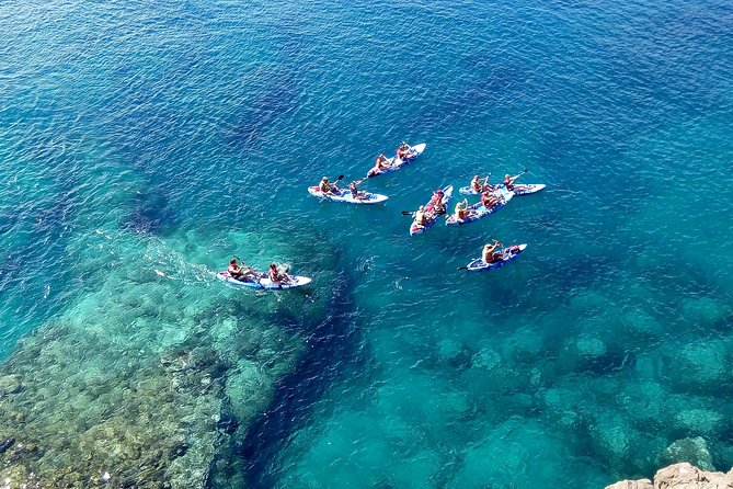 Kayak & Snorkelling in Papagayo - Who Will Enjoy This Most?