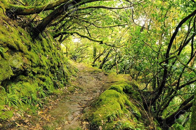 La Gomera Day Trip from Tenerife - Is $126.15 good value?