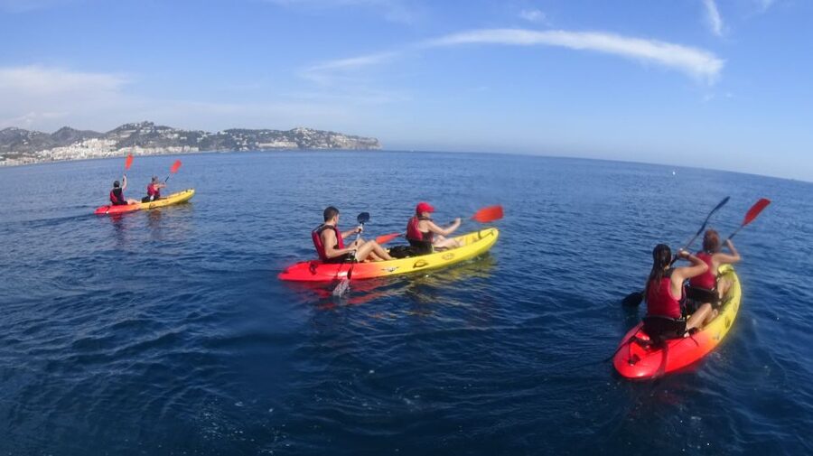 La Herradura: Cerro Gordo Natural Park Kayak & Snorkel Tour - The snorkeling stop and what you might see