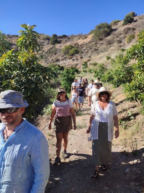 La Herradura Coffee Farm: tour in Europe's only plantation - Five details that make this farm visit special