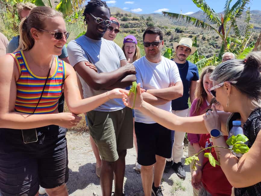 La Herradura Coffee Farm: tour in Europe's only plantation - Sea views, steep paths, and the old cortijo