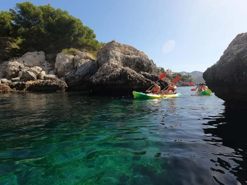 La Herradura: Kayak & Snorkel Tour to Cerro Gordo Reserve - What the $23 price includes