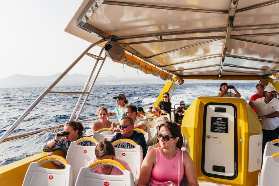 Lanzarote: 2.5-Hour Sunset and Dolphins Cruise - Who will enjoy this cruise most?