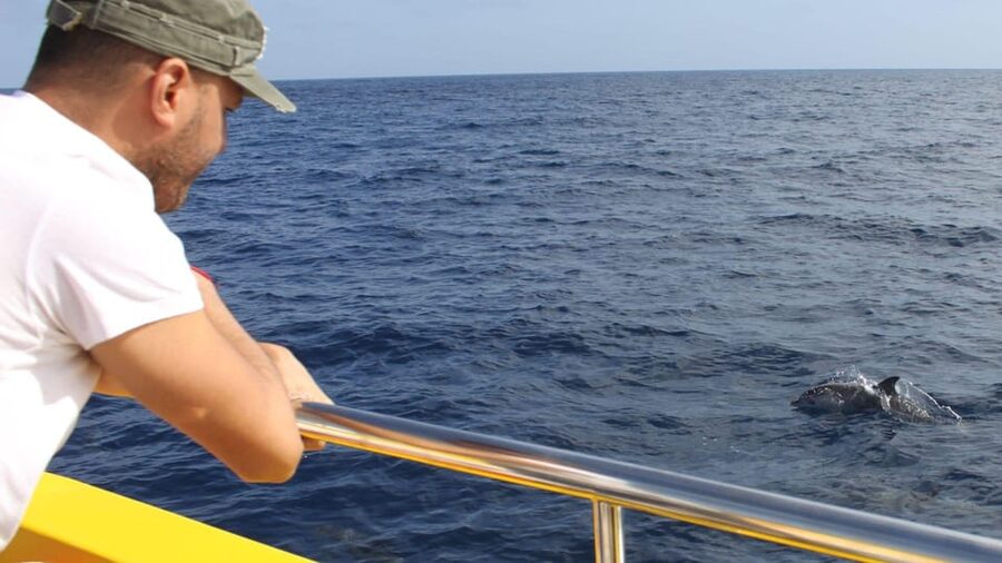 Lanzarote: 2.5-Hour Sunset and Dolphins Cruise - Getting from your hotel to Puerto del Carmen