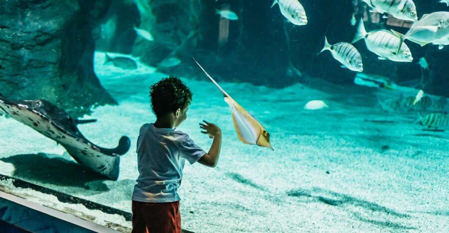 Lanzarote: Aquarium Entry Ticket - Key points to know before you go