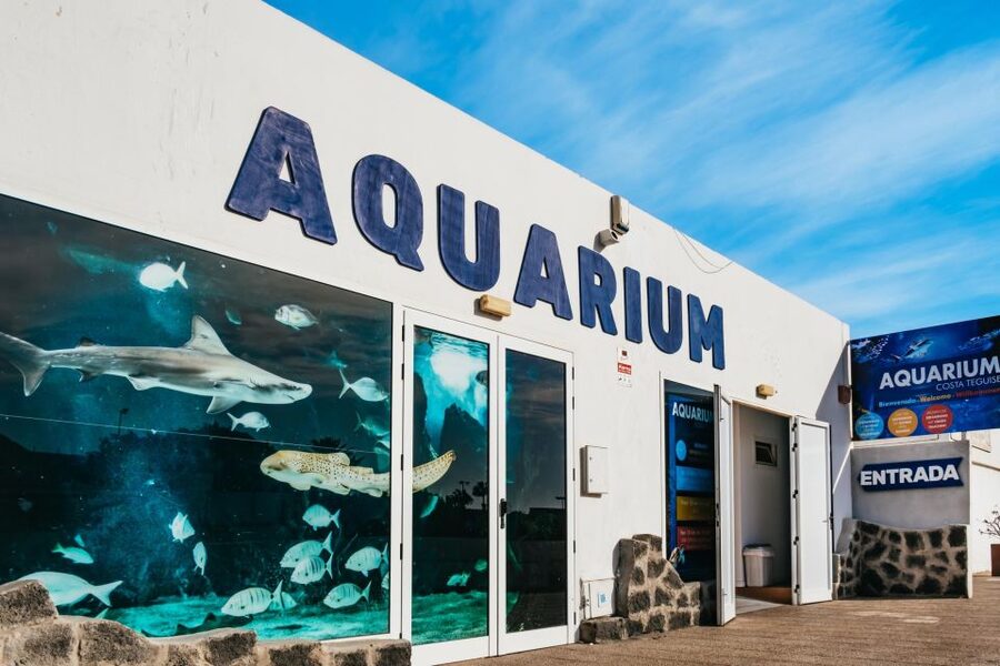 Lanzarote: Aquarium Entry Ticket - Freshwater animals and the axolotl stop