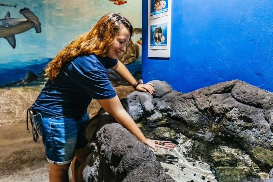 Lanzarote: Aquarium Entry Ticket - The open-sea tanks and underwater tunnel