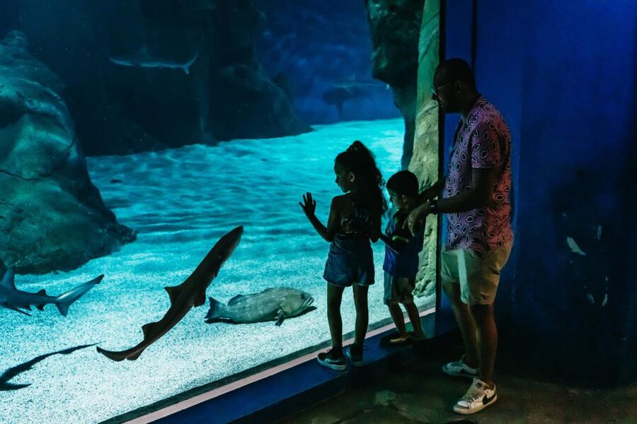 Lanzarote: Aquarium Entry Ticket - Feeding times are worth planning around
